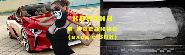 прущие грибы Богородск