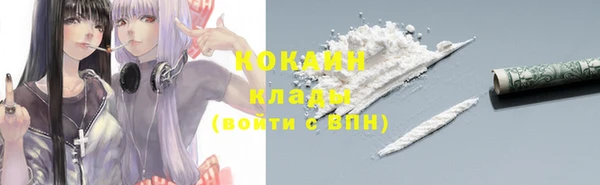 прущие грибы Богородск
