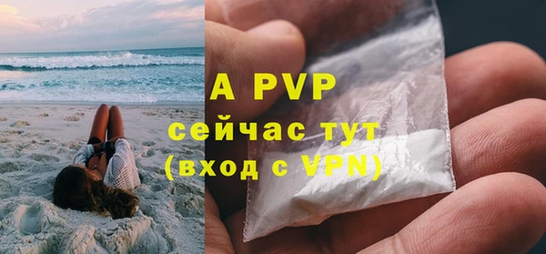 прущие грибы Богородск